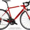 Wilier GTR Team - Campagnolo Centaur - Calima - 2021